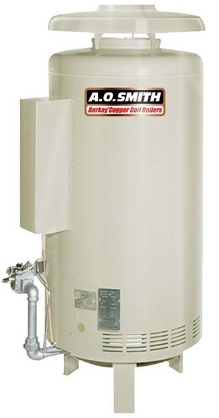 AO Smith
Burkay water heater repair near Chicago